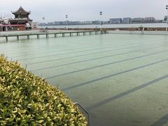 -龙舟池