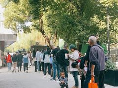 -潘玉麟糖粥