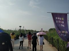 -上海国际音乐村