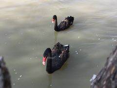 -长兴太湖图影湿地文化园