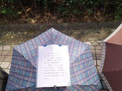 -人民公园-相亲角