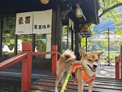 -楠溪江风景名胜区