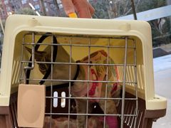 -爱妮康宠物医院·干细胞免疫细胞·肿瘤·心脏(张江店)