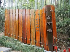 -天目湖山水园