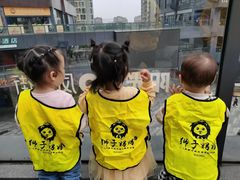 -狮子妈妈托育早教幼儿园(岳麓店)