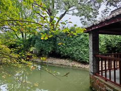 -八大山人梅湖景区