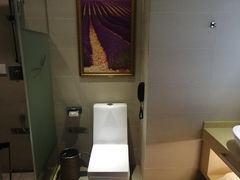 -麗枫酒店(长沙步行街南门口地铁站店)