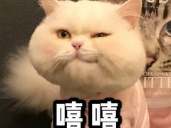 -海底捞火锅(杭州萧山宝龙广场店)