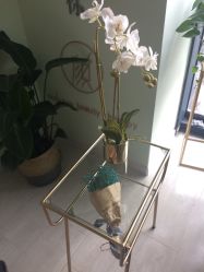 大堂-至臻康妍健康管理中心