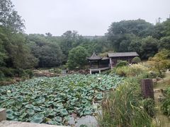 -虞山风景区