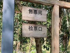 -东平国家森林公园