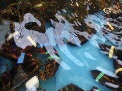 -盒马鲜生(宝地店)