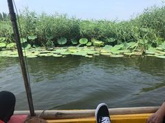 -白洋淀景区