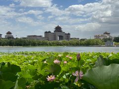 -莲花池公园