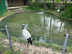 -上方山森林动物世界