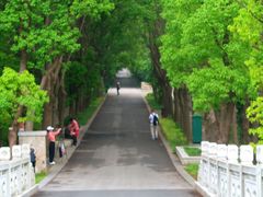 -同里国家湿地公园