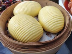 -金龙寨(龙城路店)