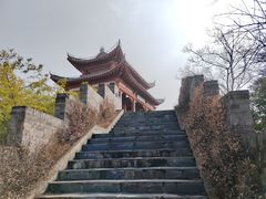 -武汉园博园(武汉自然博物馆)