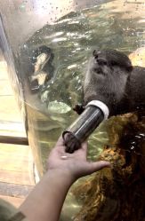 -Zoolung Zoolung动物主题公园(海信广场店)