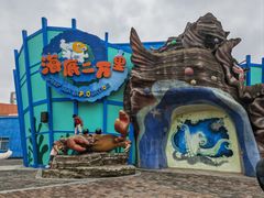 -海合安武汉极地海洋公园