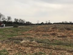 -武汉紫薇都市田园