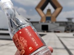 -法门文化景区-合十舍利塔