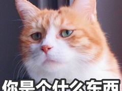 -北京王府井烤鸭(泰兴店)