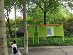 -青枫公园