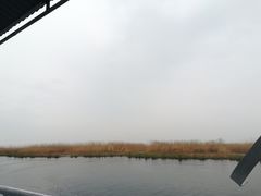 -白洋淀景区