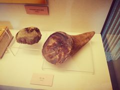 -北京动物园-畅观楼