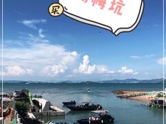 -杨梅坑