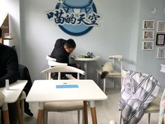 用餐区-喵的天空名猫咖啡馆·撸猫·猫舍·用品