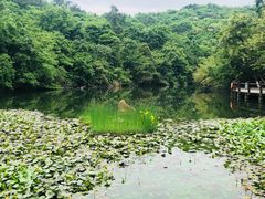 -天目湖山水园