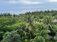 -海南清水湾莱佛士酒店