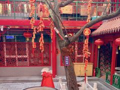 -天外天(忻黑线店)