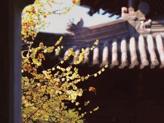 -钱王祠