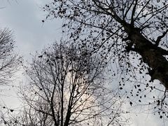 -重庆中央公园(渝北区)