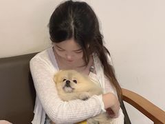 -乔曰Qiao Yue·茶咖局