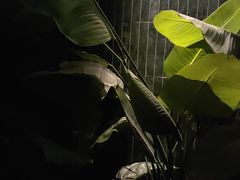 -涟LIAN·泰式按摩·MASSAGE·SPA(华强北店)