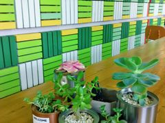 -Green Option(官舍店)