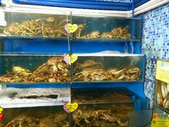-蚝专家(北滘店)
