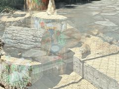-北宫国家森林公园