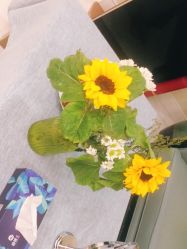 -静博士·养生养颜