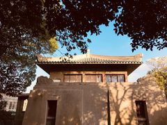-武汉大学-樱园