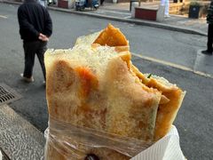-孙奶奶葱包桧