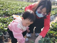 -麻涌飞鸭开心农场