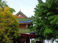 -神光山国家森林公园