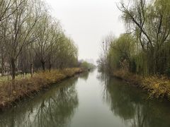 -洛阳市隋唐城遗址植物园