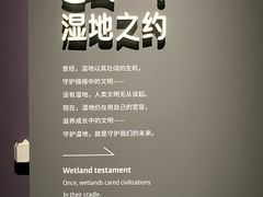 -中国湿地博物馆