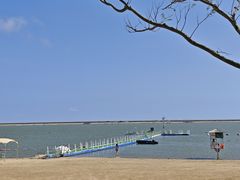 -碧海金沙